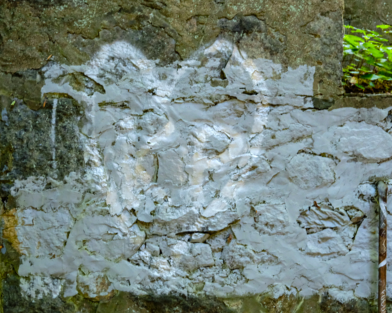 Whitewash